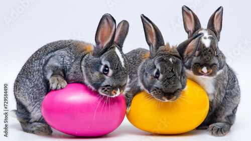 coelhos da páscoa cuidando de ovos coloridos gigantes photo