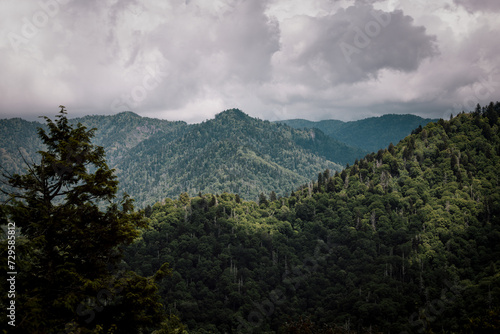 Unter den Wolken liegen die grünen Berge der Great Smoky Mountains