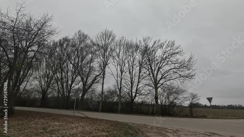 Romantic forest with untouched nature