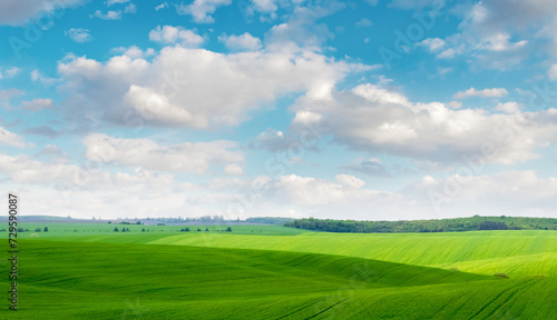 Green field with forest in the distance and picturesque cloudy sky in sunny weather