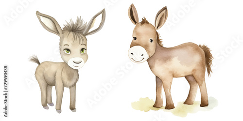 watercolor of donkey vector illustration