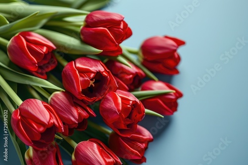 Vibrant Red Tulip Bouquet on Blue Background with Copy Space
