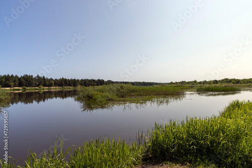 a wide river in eastern Europe, the Neman