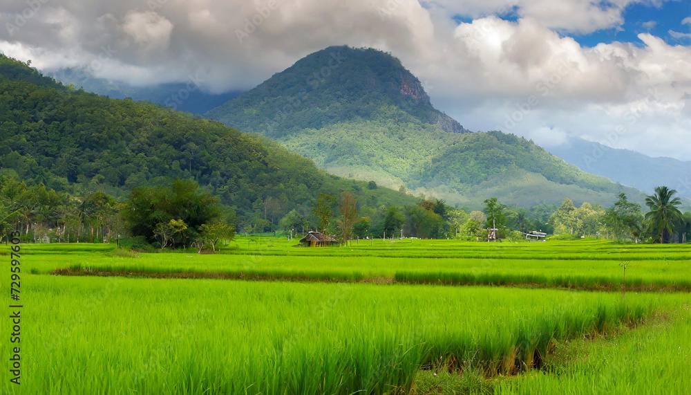 An idyllic countryside scene showcasing beautiful green rice fields and a serene mountainous backdrop.
