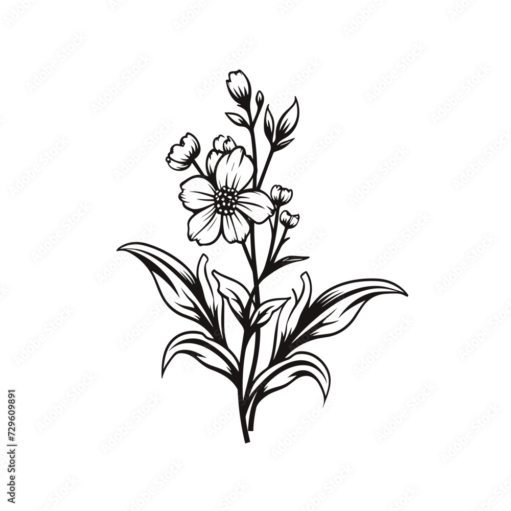 black and white flowers vector illustration isolated transparent background, cut out or cutout black and white flowers vector illustration isolated transparent background, cut out or cutout