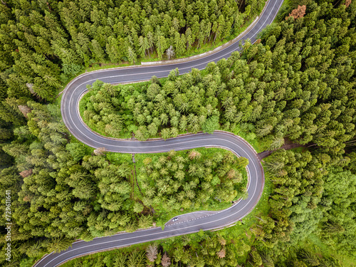Aerial view of a road in the middle of the forest © Rafaila Gheorghita