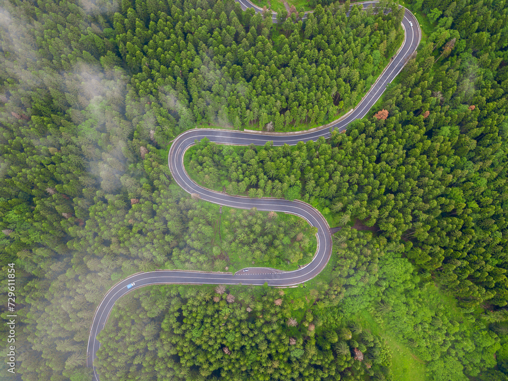 Aerial view of a road in the middle of the forest