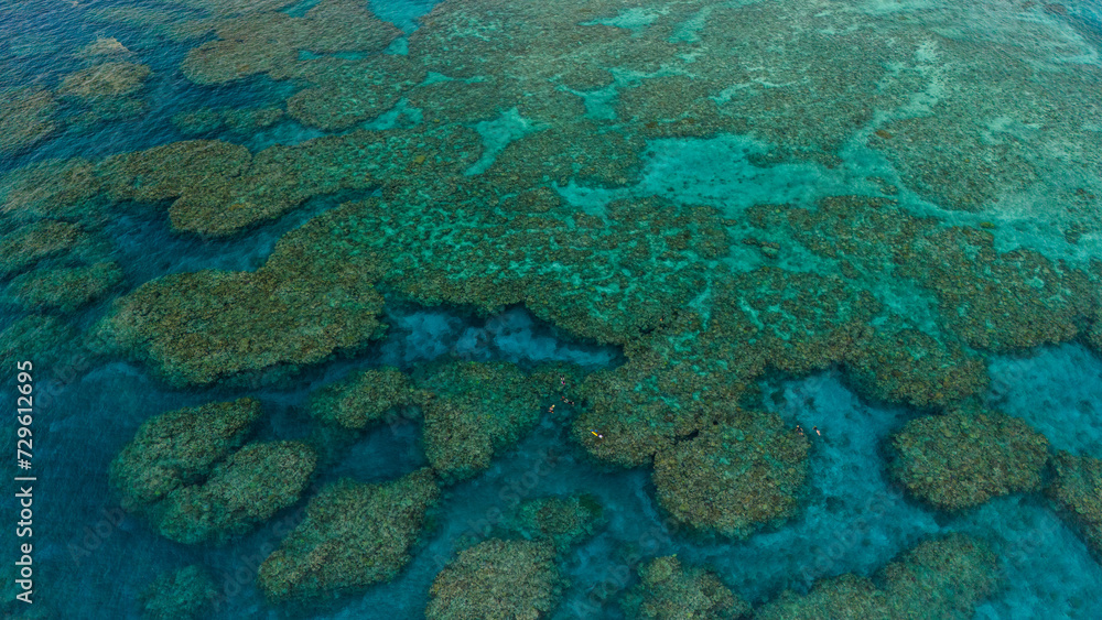 Naklejka premium Snorkelling on a remote coral reef in Fiji