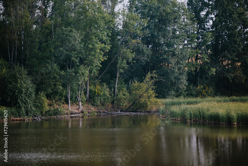 Landscape with a pond and deciduous forest.