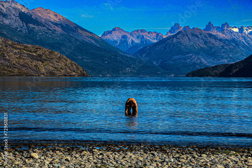 Aguas frescas del Lago Puelo, provincia de Chubut, Argentina. photo