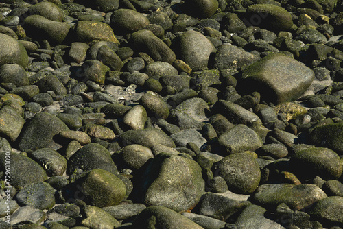 Close up of rocks in Ensenada de Muertos, Dreams Bay, LA Paz, Mexico