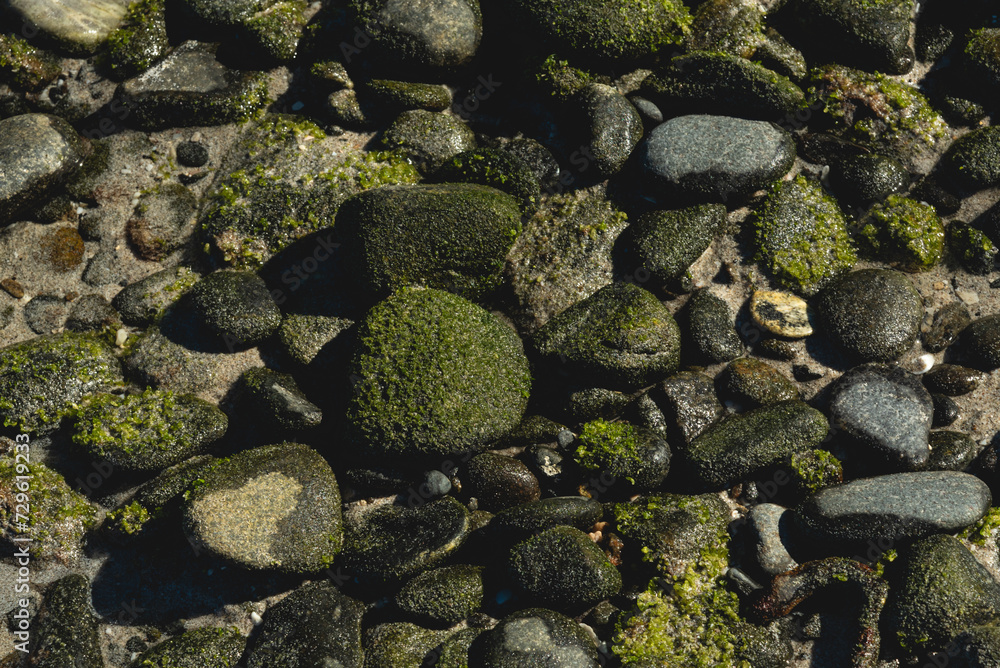 Close up of rocks in Ensenada de Muertos, Dreams Bay, LA Paz, Mexico