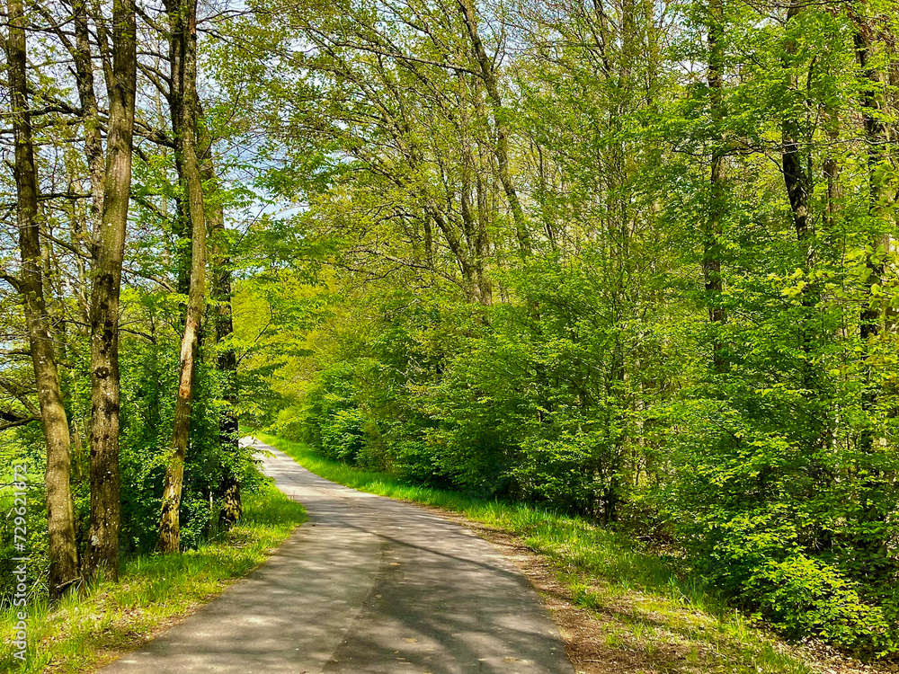 Fototapeta premium Nature