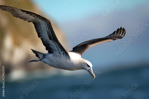 With wings outstretched like a majestic emblem of freedom  an albatross soars gracefully through the boundless expanse of the sky  embodying the epitome of aerial elegance and untamed beauty