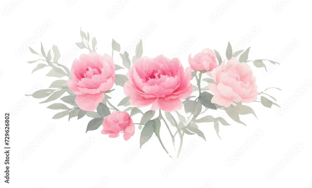Peonies flowers, Set flowers watercolor, Pink flowers	