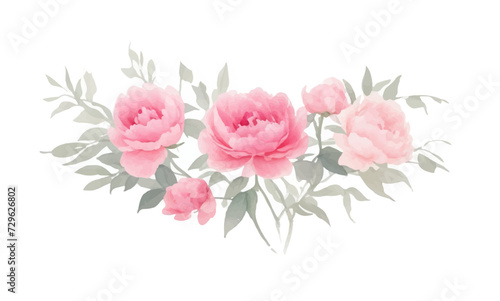 Peonies flowers, Set flowers watercolor, Pink flowers	 #729626802