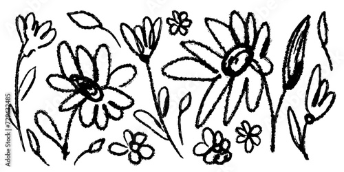 Set of flowers  leaves  floral stems. Wild plants drawing with grunge brush. Black and white botanical elements. Vector illustration. Primitivism