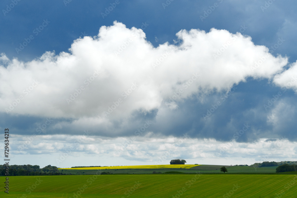 Cumulus Wolken im Gebiet Stonehenge mit gelb leuchtendem Rapsfeld und grünen Feldern Cumulus Wolken im Gebiet Stonehenge mit gelb leuchtendem Rapsfeld und grünen Feldern