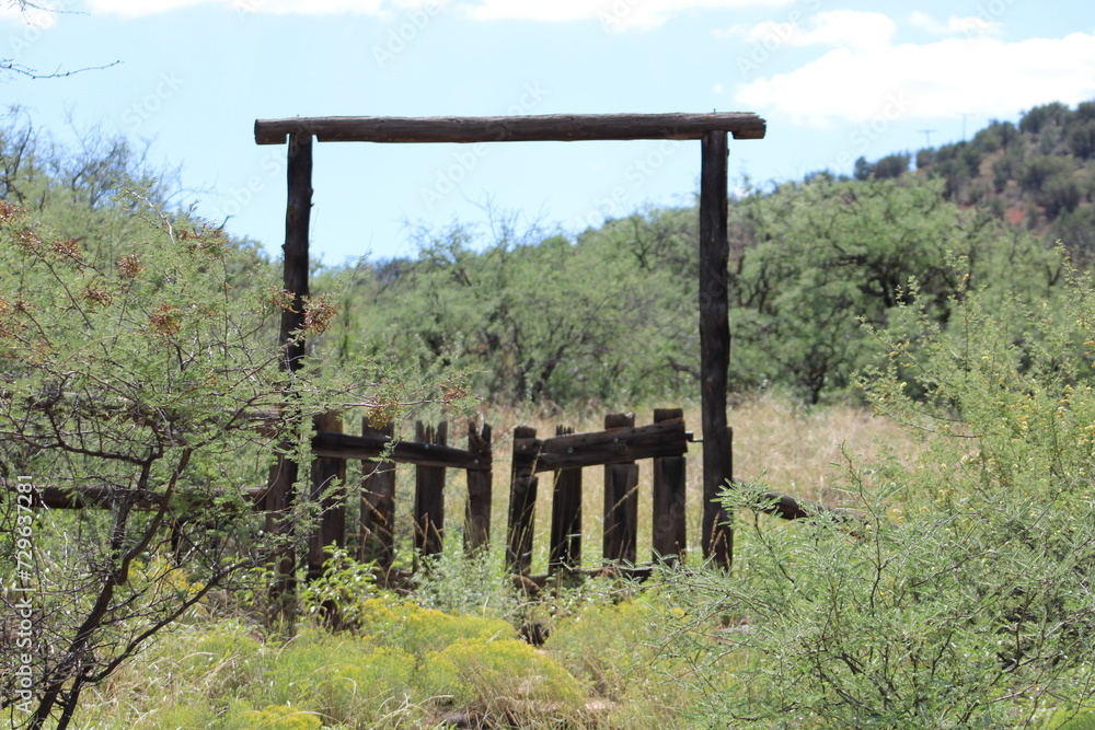 Old wooden gate in a meadow