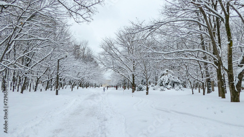 冬の中島公園（北海道札幌市中央区）