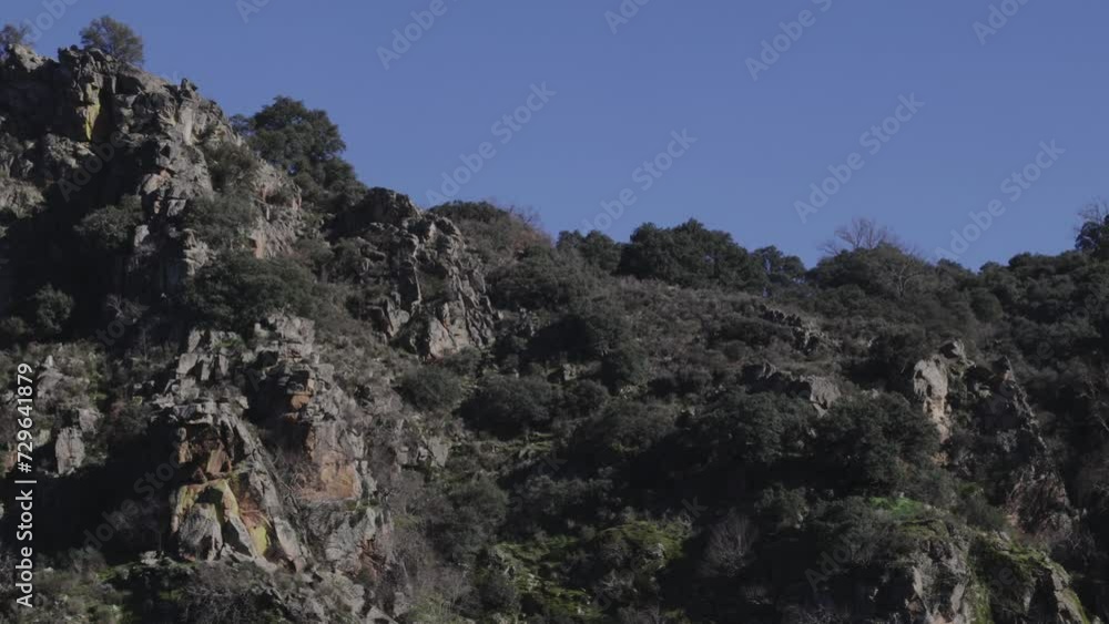 vulture flying over the rocks and cliffs, the bird gliding over the cliffs
vulture flying over the rocks and cliffs, the bird gliding over the cliffs