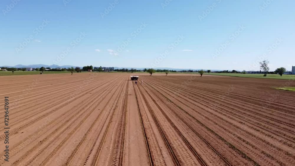 Planting tomatoes in the field from above the drone - Po Valley - Alessandria - Piedmont - Italy Planting tomatoes in the field from above the drone - Po Valley - Alessandria - Piedmont - Italy