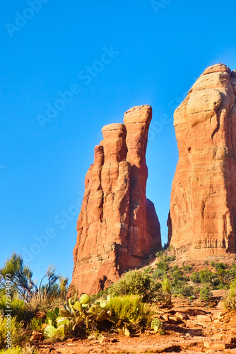 Sedona Red Rock Spires and Desert Flora Against Blue Sky