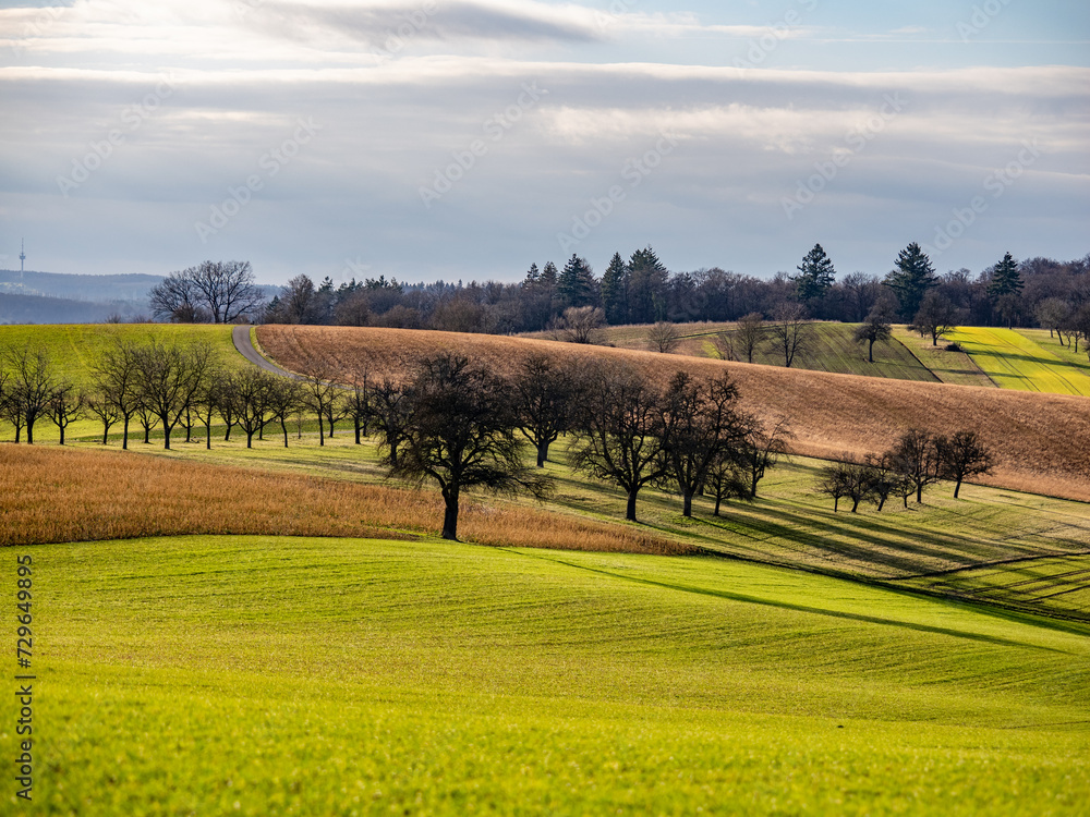 Fototapeta premium Agrarlandschaft in mildem Winter