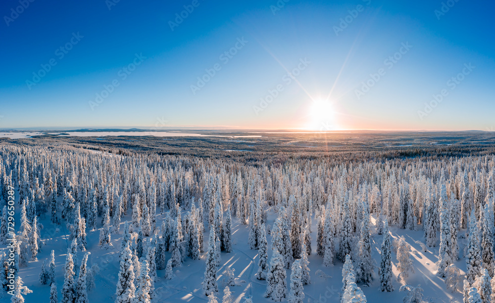 Obraz premium landscape with snow