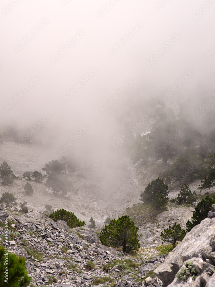 Mountain rocky hillside in a foggy day. High quality photo