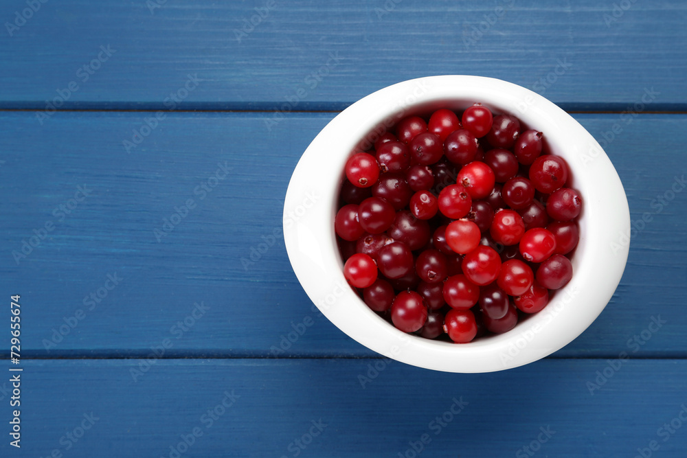 Fresh cranberries in bowl on blue wooden table, top view. Space for text Fresh cranberries in bowl on blue wooden table, top view. Space for text