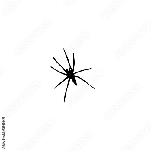 Illustration vector graphic of spider icon © Kmcolshop