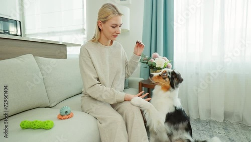Domestic dog training with a woman guiding her Aussie Shepherd pet
