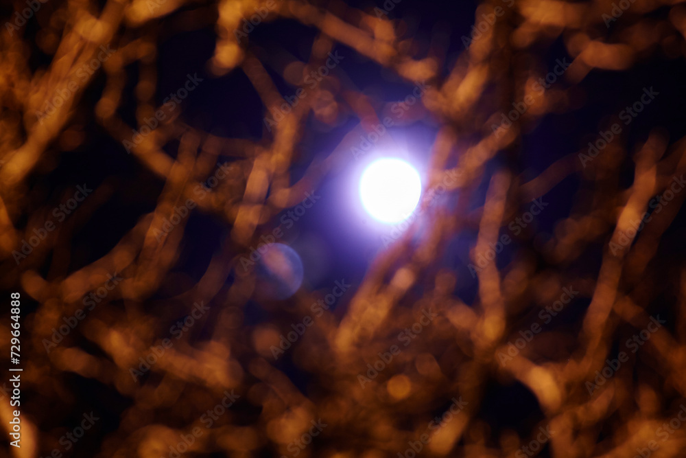 Abstract Bokeh Light with Branch-Like Shadows and Super Moon Aura