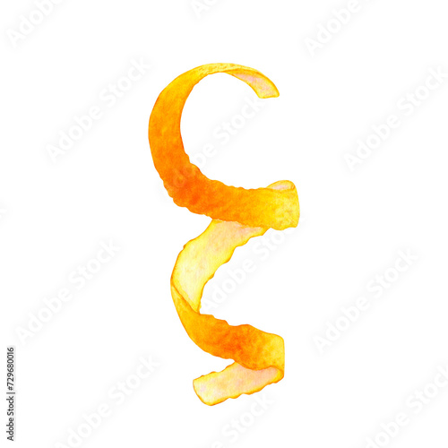 Watercolor spiral of orange peel. Citrus zest isolated on transparent background. Botanical illustration of hand painted tropical fruits. For packaging, menus, cards, printing, invitations