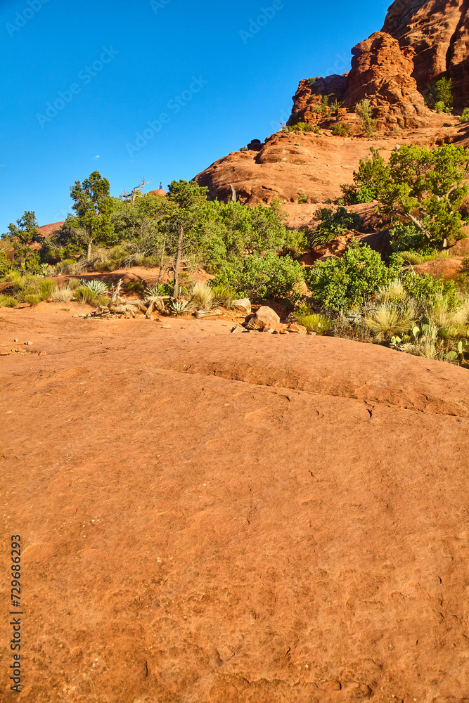 Sedona Desert Vista with Red Rock Formations and Blue Sky