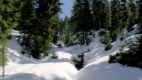 Snowdrift On A Forest ,Rodnei Mountains National Park photo