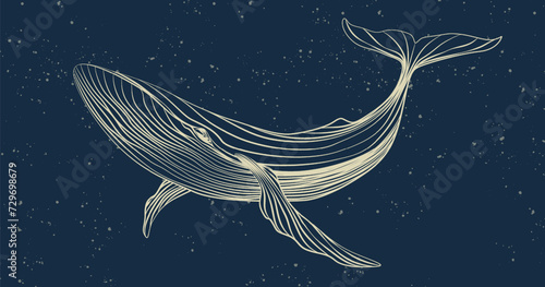 Dark blue art background with hand drawn whale in white line art style. Animalistic banner for decoration, print, textiles, wallpaper, interior design.