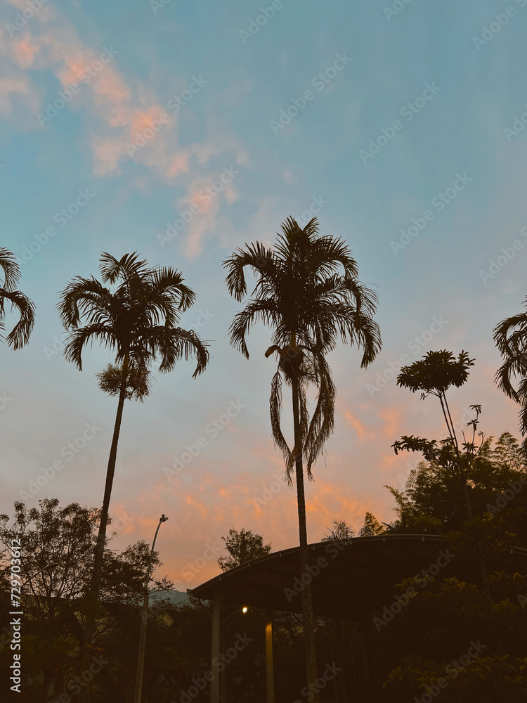 Background with palm trees and orange sunset in the city of Medellin, Antioquia, Colombia. Background with palm trees and orange sunset in the city of Medellin, Antioquia, Colombia.