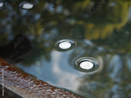 Konstfotografi Japanese coin floating on water supported by surface tension
