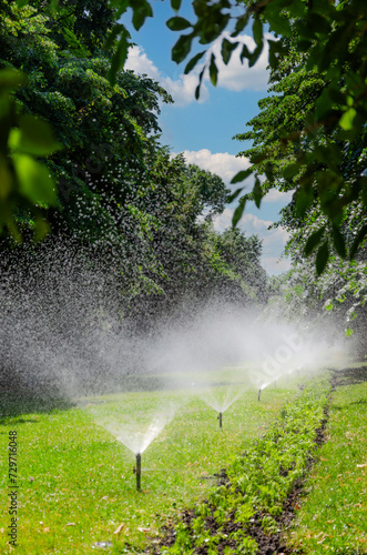 Public park sprinkler system watering the lawn, vertical picture © Gelu Popa