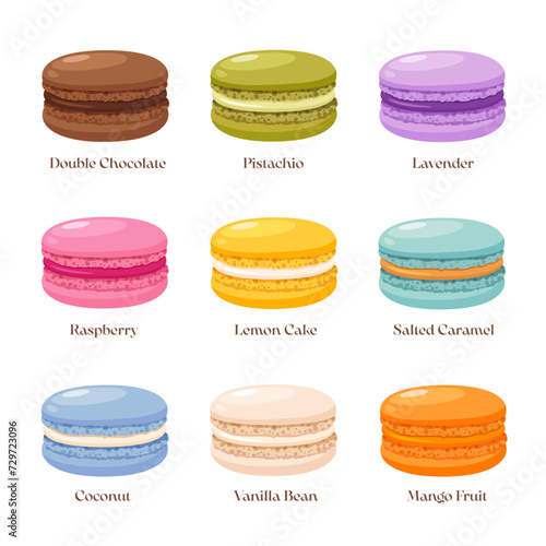 Macarons dessert with different flavors