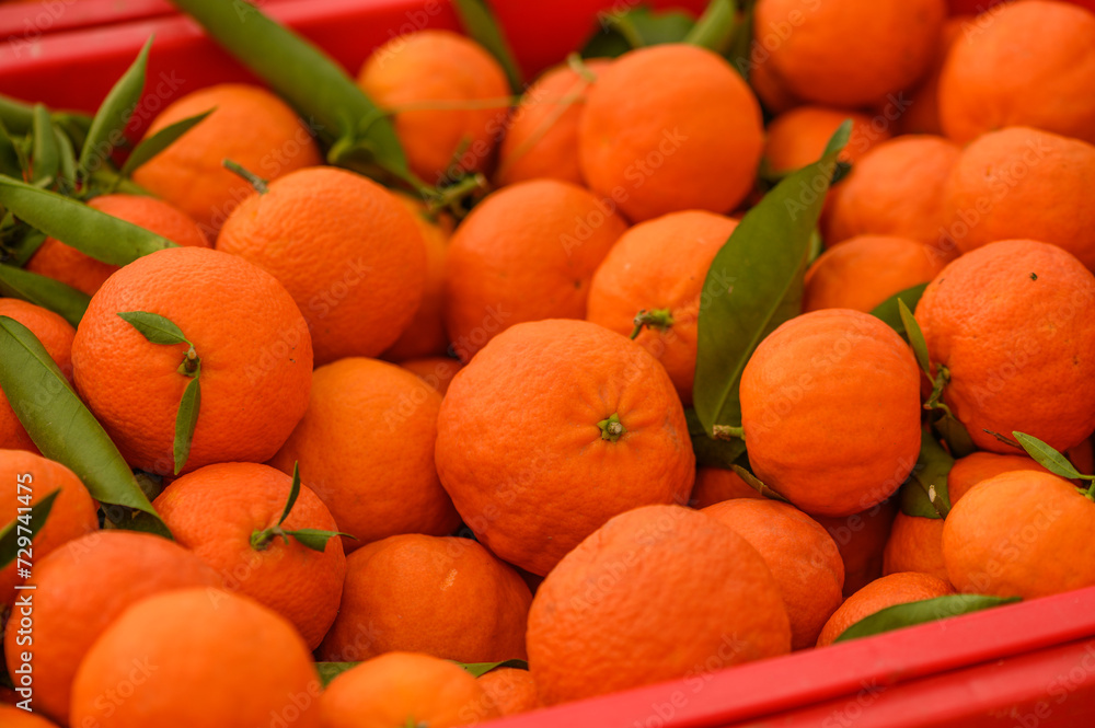juicy fresh tangerines in boxes for sale in Cyprus in winter 3