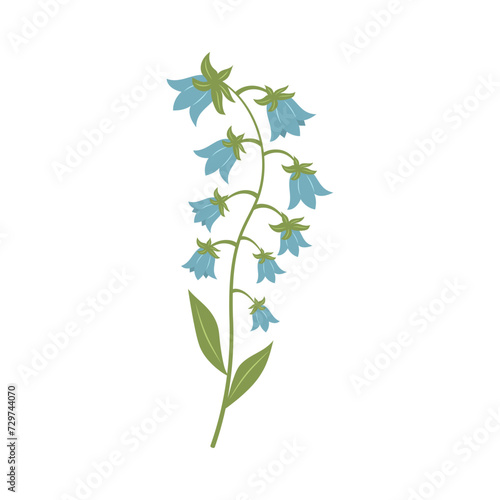 Blue bluebell flowers. Twig of bells. Vector illustration isolated on white background.