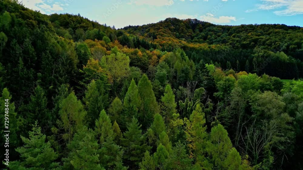 Aerial shot capturing the autumn trees in a patch of dense forest panning left to right in Attersee Austria Aerial shot capturing the autumn trees in a patch of dense forest panning left to right in Attersee Austria