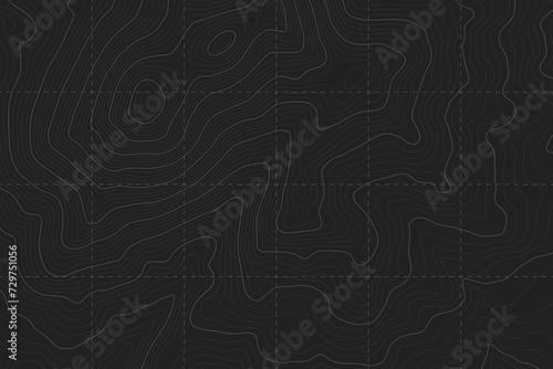 Dark Grey Military Topographic Contour Map Vector Graphic Abstract Background. Topography Wavy Lines Pattern Modern Wallpaper. Outline Terrain Relief Cartography Geographical Map Art Illustration