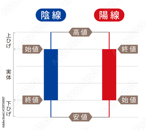 ローソク足の解説、解説図、詳細、陰線と陽線のベクターイラスト