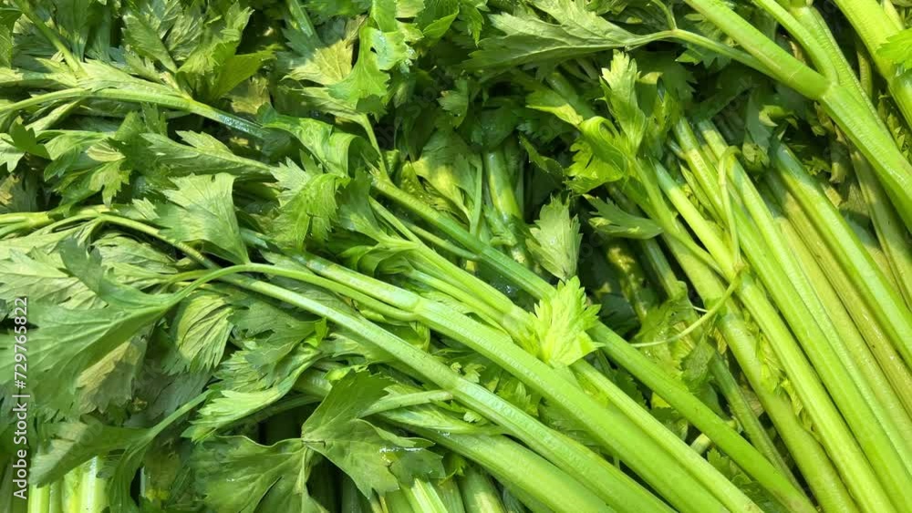celery vegetables and fruits on the counter in a supermarket or market in Vietnam Closeup of organic green celery harvested on vegetable farm. Harvest time. High quality 4k footage celery vegetables and fruits on the counter in a supermarket or market in Vietnam Closeup of organic green celery harvested on vegetable farm. Harvest time. High quality 4k footage