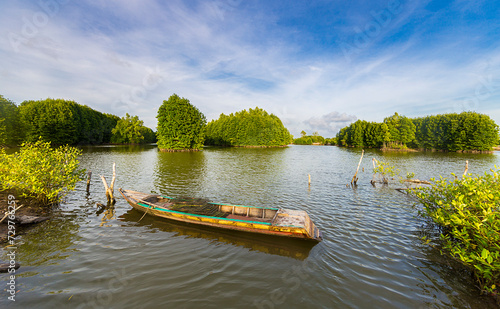 Camau Mangrove forests photo