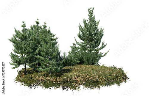 Round surface of Small Pine forest patch covered with flowers, green or dry grass isolated on transparent background. Realistic natural element for design. Bright 3d